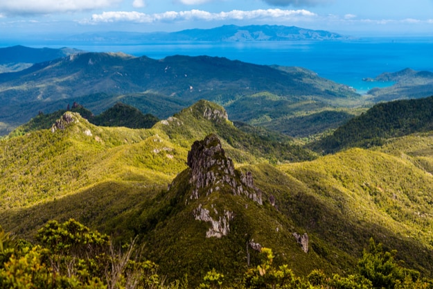 Mt Heale view from Mt Hobson, Great Barrier Island, New Zealand