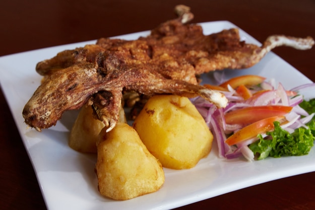 Cuy chactad in peru