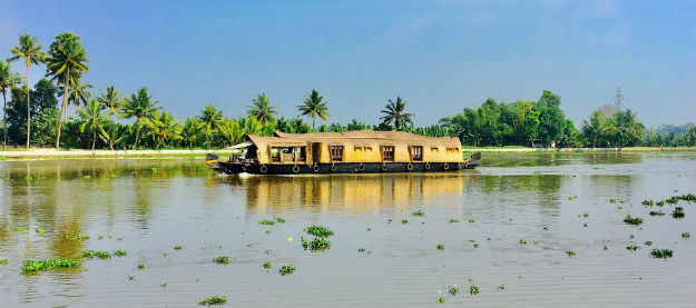 Vembanad Lake photo 3