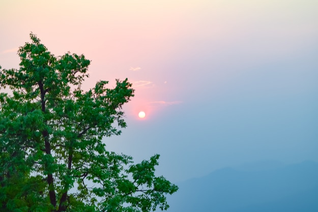 View at sunset at Binsar, Uttarakhand