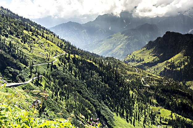 himachal green backdrop photo
