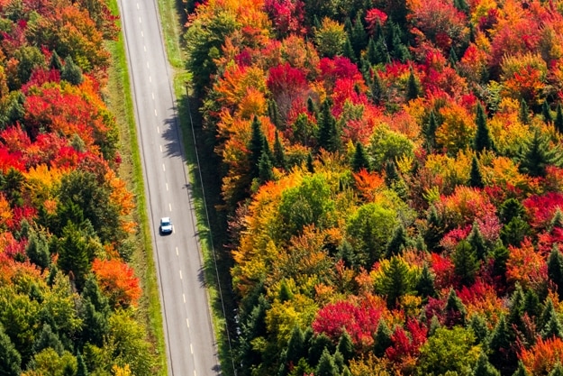 Aerial view of a car driving on a country road through a colorful forest at fall. Quebec, Canada