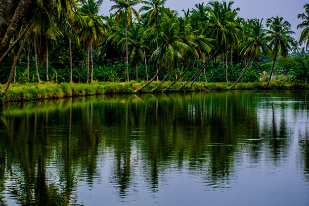 Andhra Pradesh Photo 10