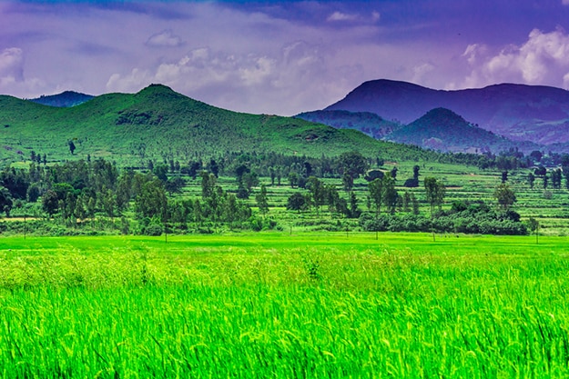 Araku Valley