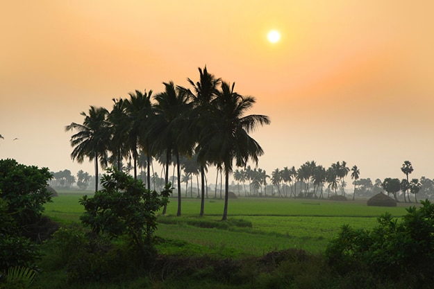 Andhra Pradesh Photos: Captivating Images of the South Indian State ...