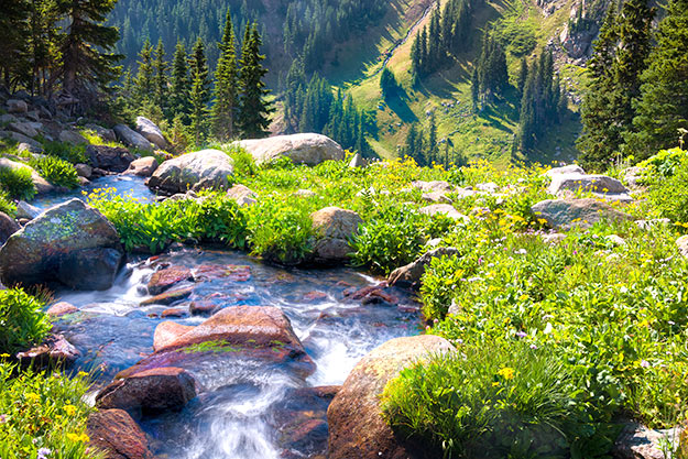 Colorado Boulder photo 4