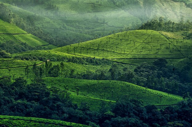 Munnar-1