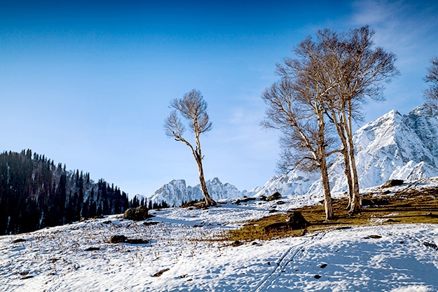 Sonmarg photo 6