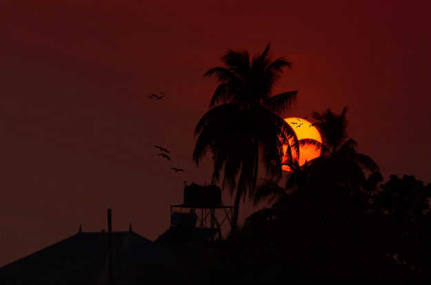 Sunset at Alleppey