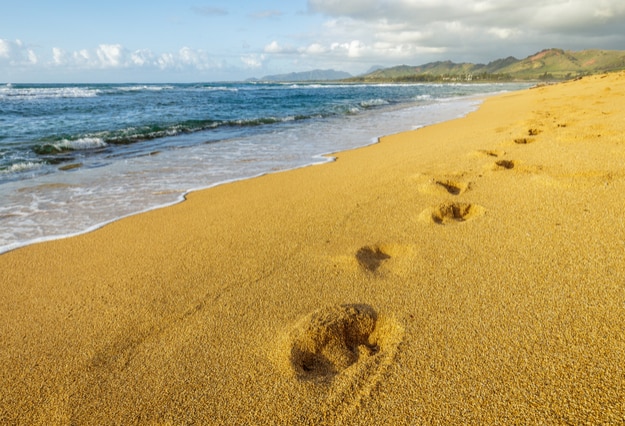 Sand beach with foot prints, shining golden in the morning sun, Kapaa