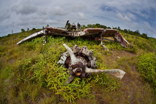 A Japanese Zero aircraft shot down during World War II, on the Pacific island of Yap (for representational purposes)