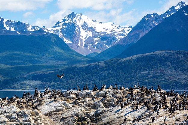 Ushuaia Argentina photo 13