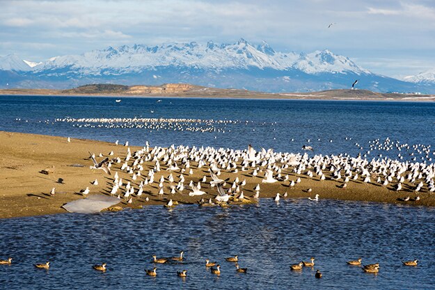 Ushuaia Argentina photo 6