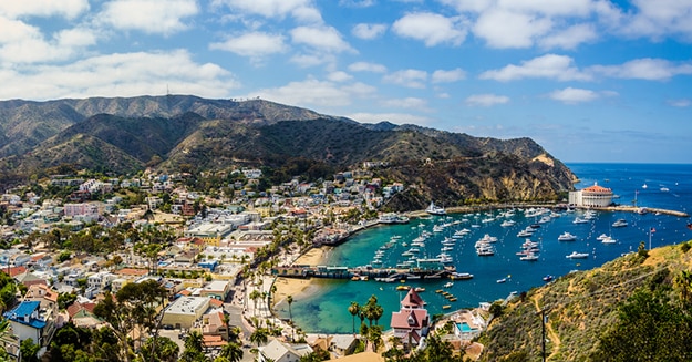 California photo 8
