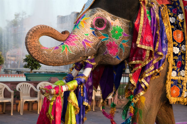 Holi Image 11