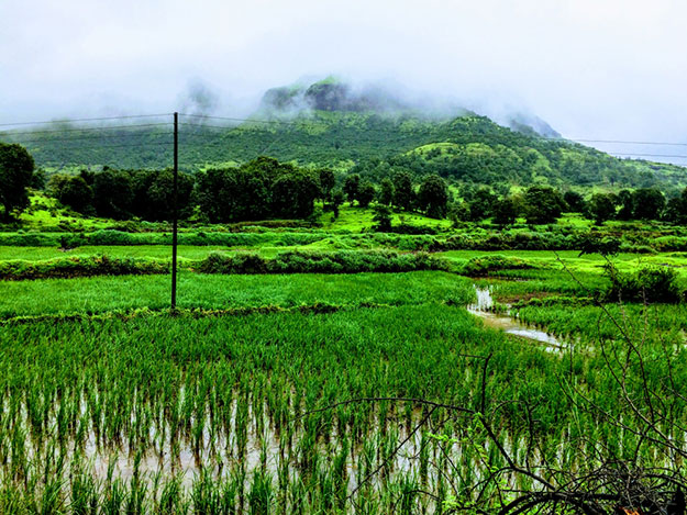 Igatpuri photo 6