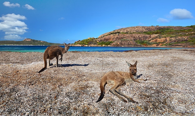 Kangaroo Island South Australia photo 9