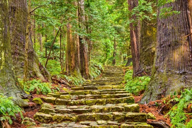 Kumano Kodo at Daimon-zaka slope, a sacred trail and World Heritage site in Nachi, Wakayama, Japan