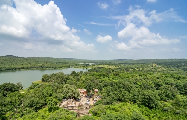 Padma lake and surroundings in Ranthambhore national park