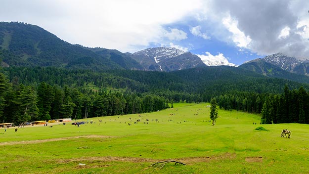 18 Breathtaking Pahalgam Images Prove That it’s North India’s Best Hill ...