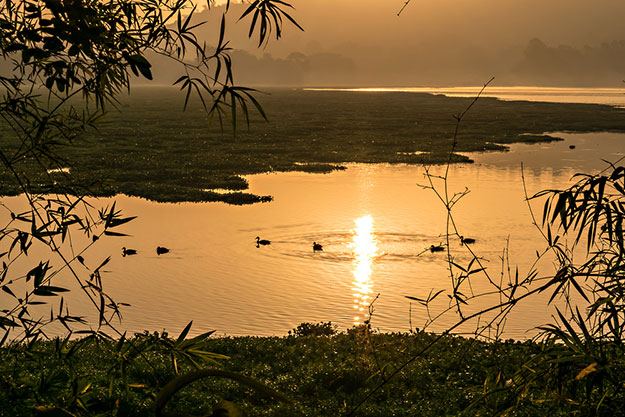 Pune photo 1