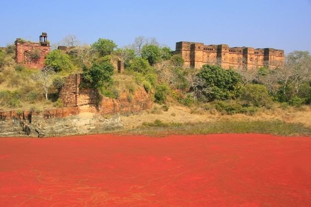 Ranthambore Fort and red lake, Rajasthan