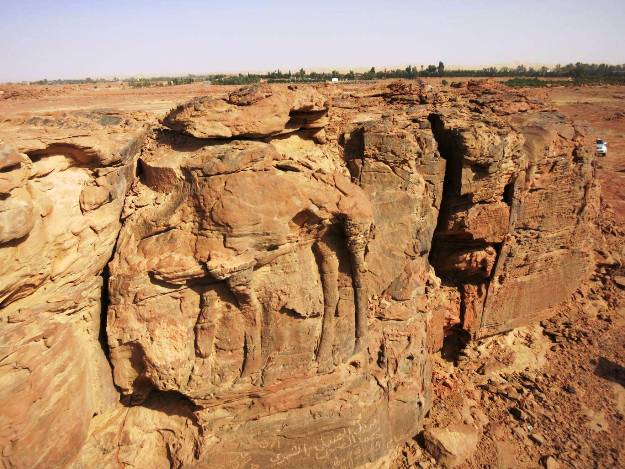 High relief carving of a standing dromedary on sandstone spur CNRS/MADAJ, R. Schwerdtner