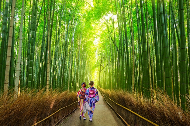 Grove bamboo forest escape прохождение