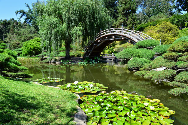 Huntington Gardens