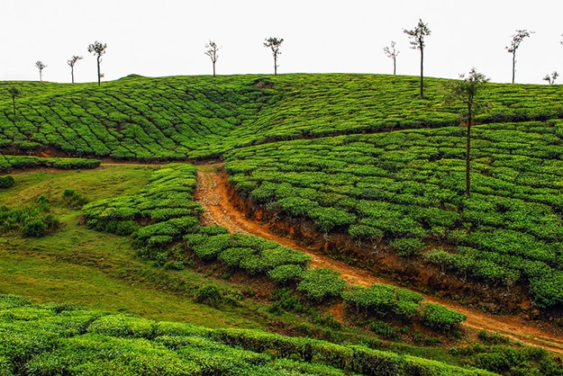 Periyar Kerala photo 9