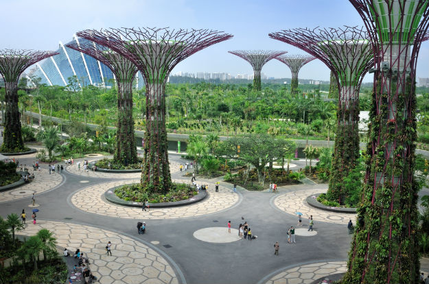 Singapore photo 20
