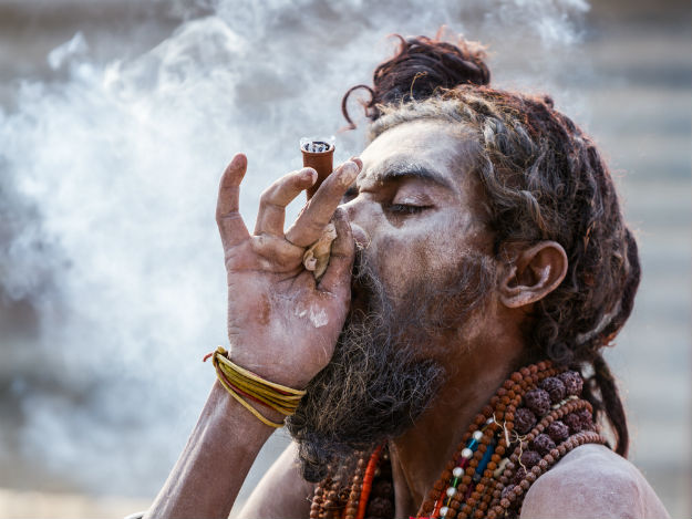 Uttar Pradesh photo 13