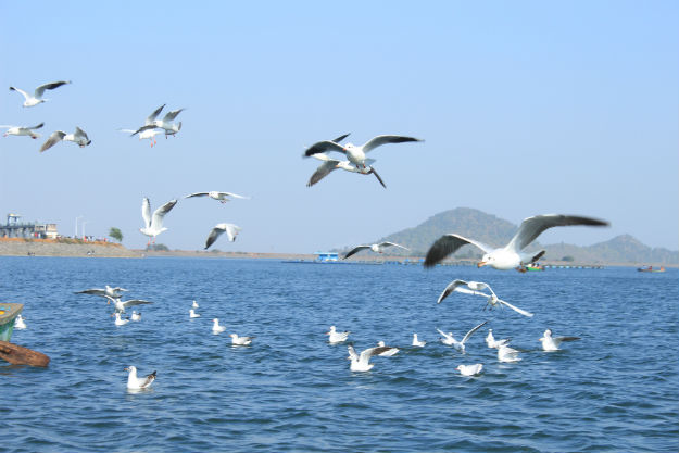 Jharkhand photo 3