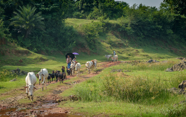 Jharkhand photo 5