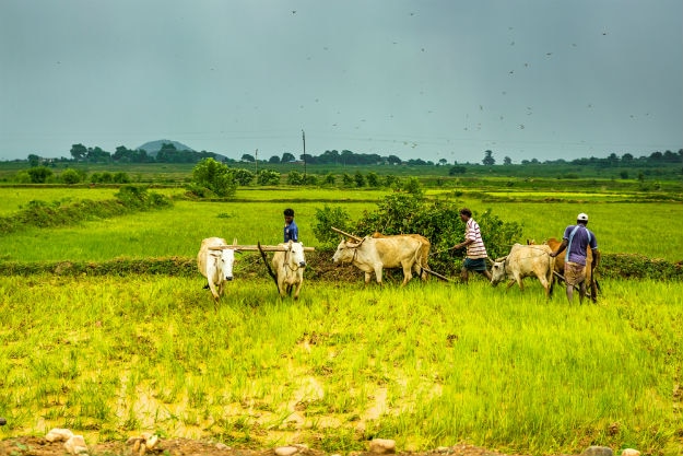Jharkhand photo 7