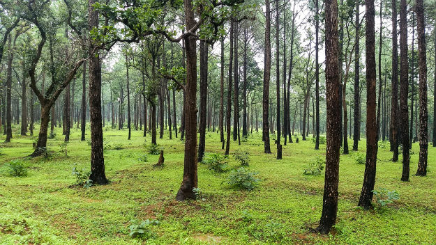 Jharkhand photo 9