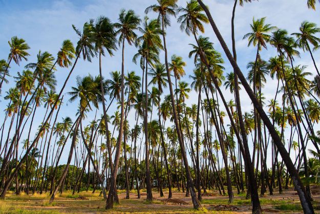 Molokai photo 4