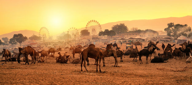 Pushkar photo Rajasthan 11