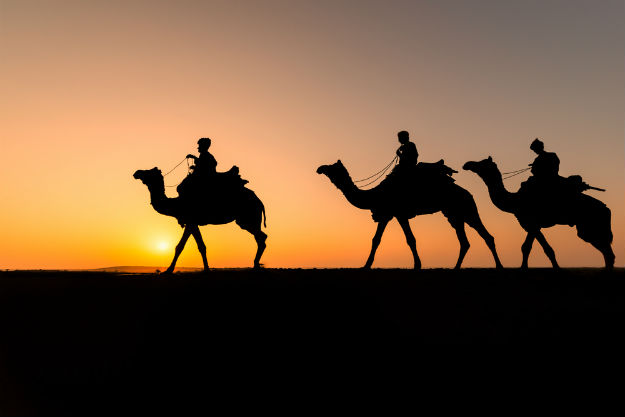 Pushkar Images: 20 Beautiful Photos of the Sacred Pilgrim Town in ...