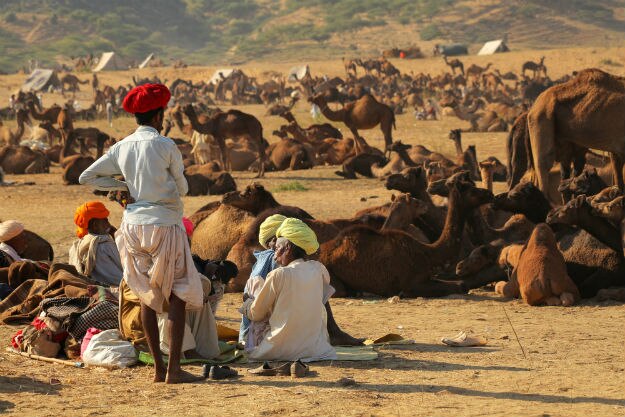 Pushkar photo Rajasthan 14