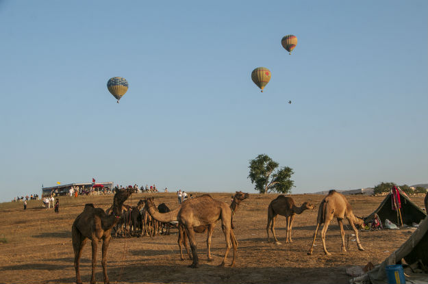 Pushkar photo Rajasthan 19