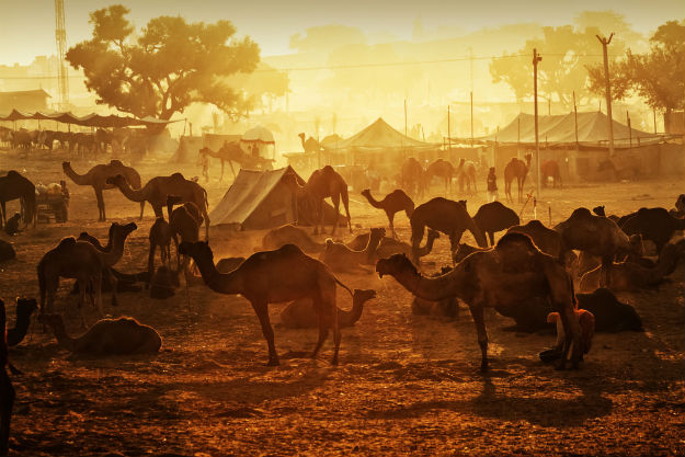 Pushkar photo Rajasthan 3
