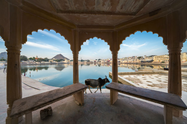 Pushkar photo Rajasthan 9