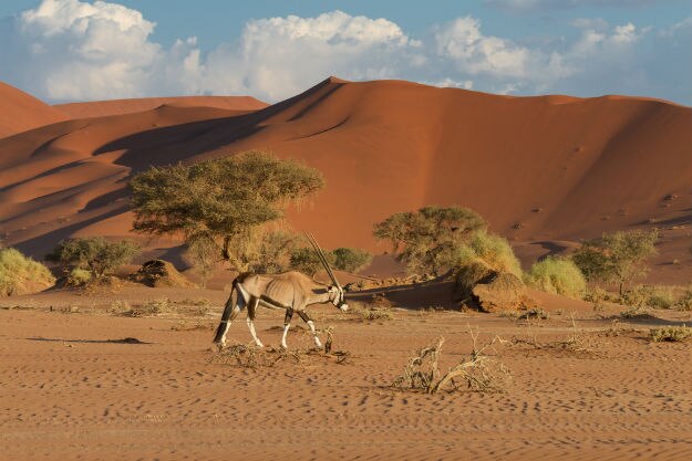Sossusvlei photo Namibia 10