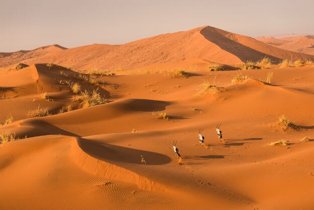 Sossusvlei photo Namibia 6