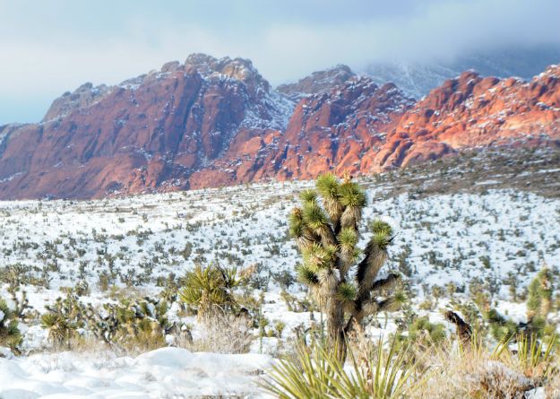 6 Red Rock Canyon