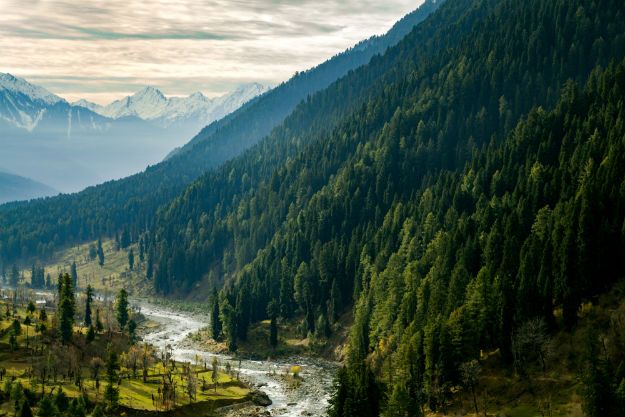 Aru Valley photo 12