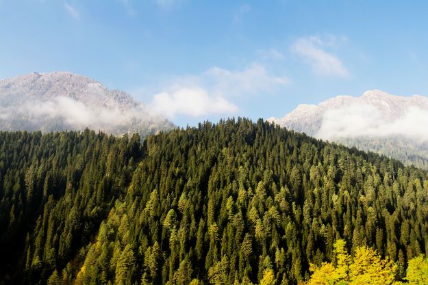 Aru Valley photo 2
