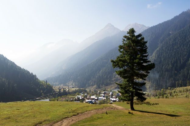 Aru Valley photo 4