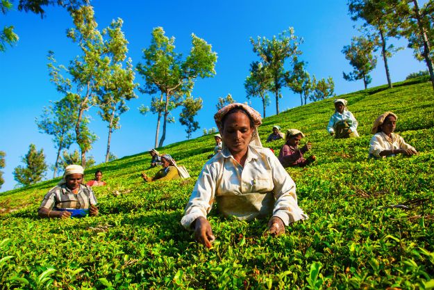 Coonoor photo 11